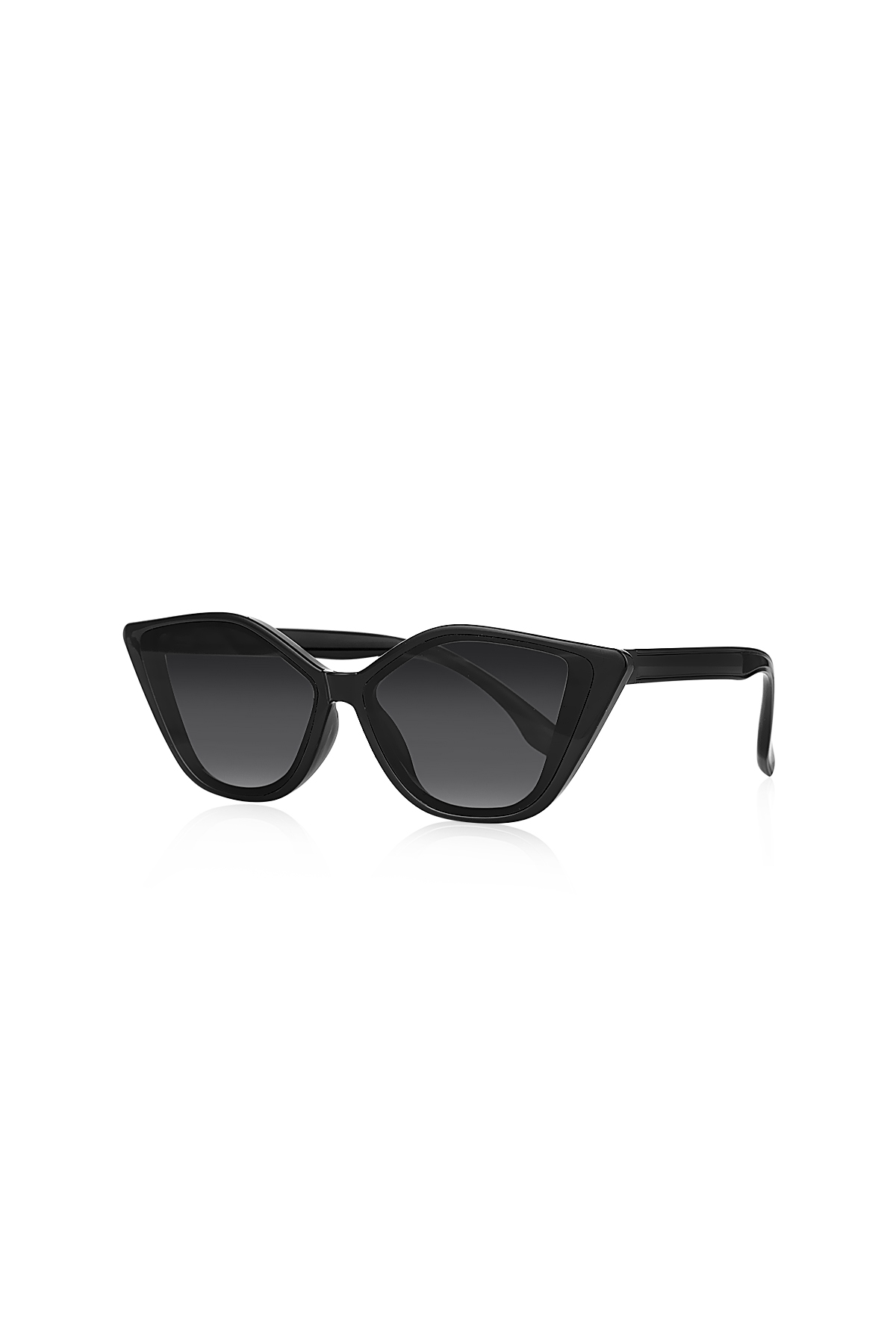 Unisex Güneş Gözlüğü Siyah Parlak 1027