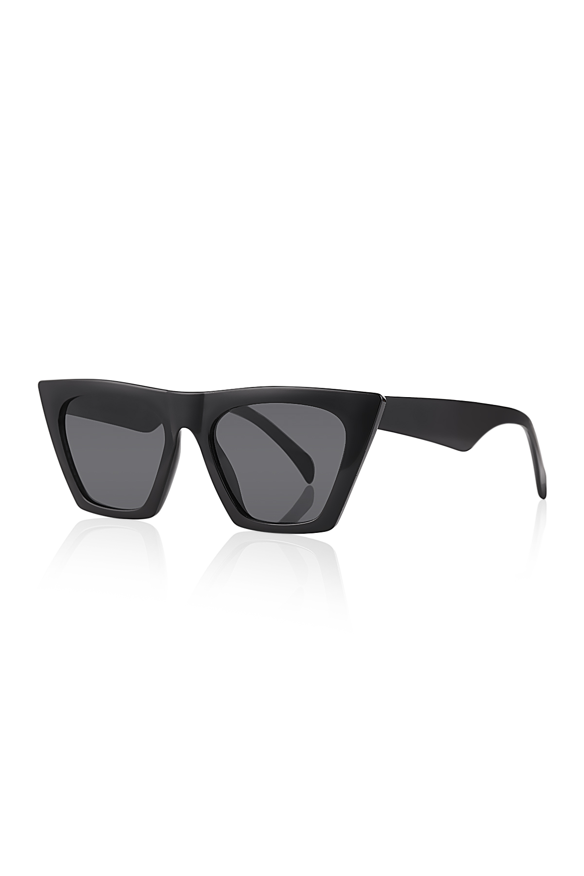 Kadın Güneş Gözlüğü Cat Eye Model 1008