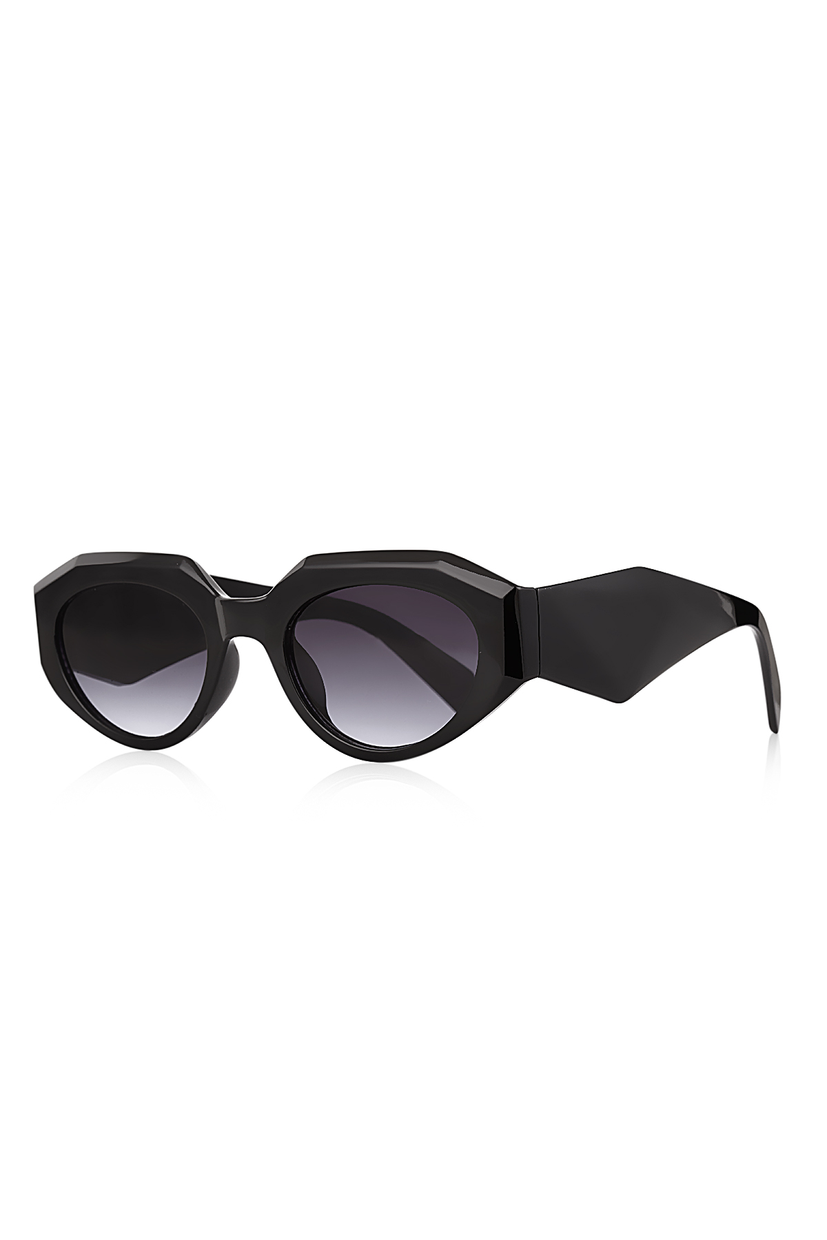 Unisex Güneş Gözlüğü Siyah Parlak 1039